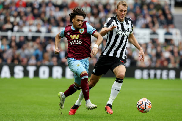 己的自由 己的自由