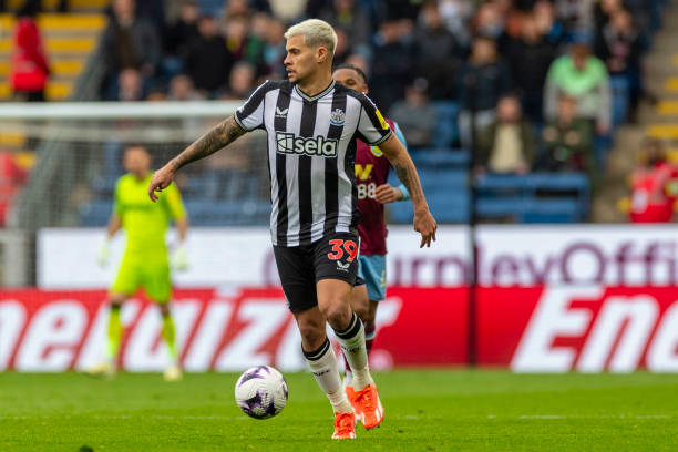 养年轻球员 养年轻球员